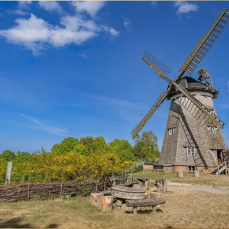 Wykerstrasse Strandlerche * Heringsdorf