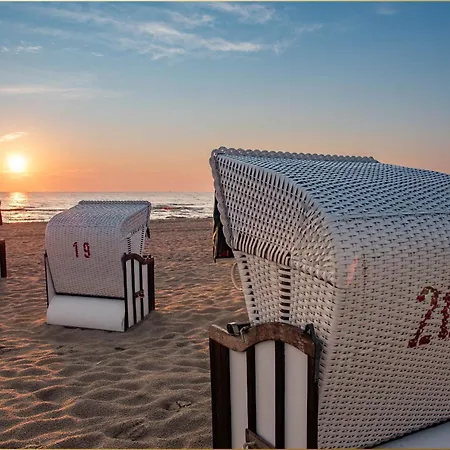 Wykerstrasse Strandlerche