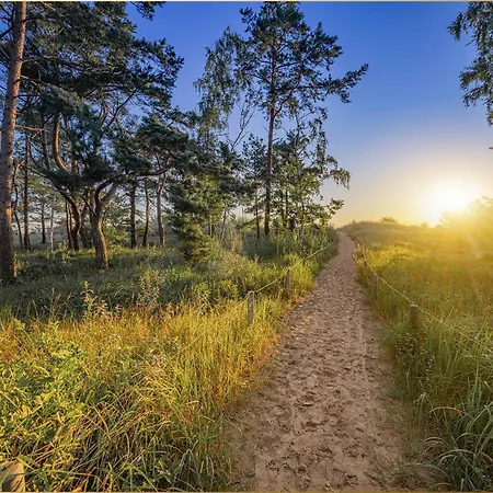 Wykerstrasse Strandlerche