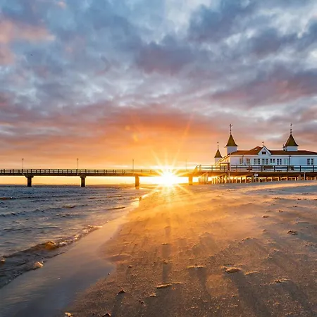 Wykerstrasse Strandlerche *
